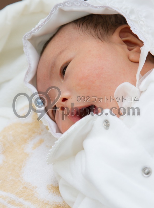 image11502