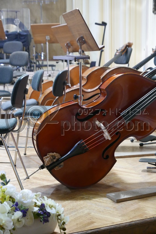 Image4