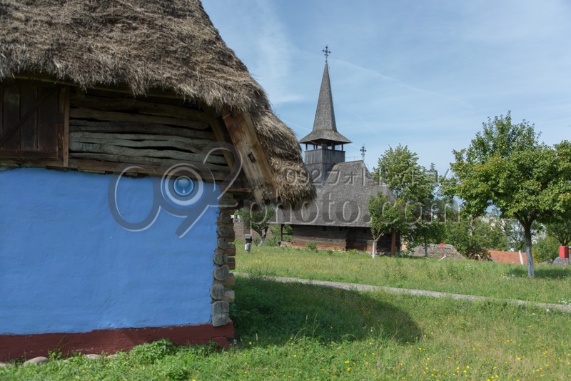 Image6